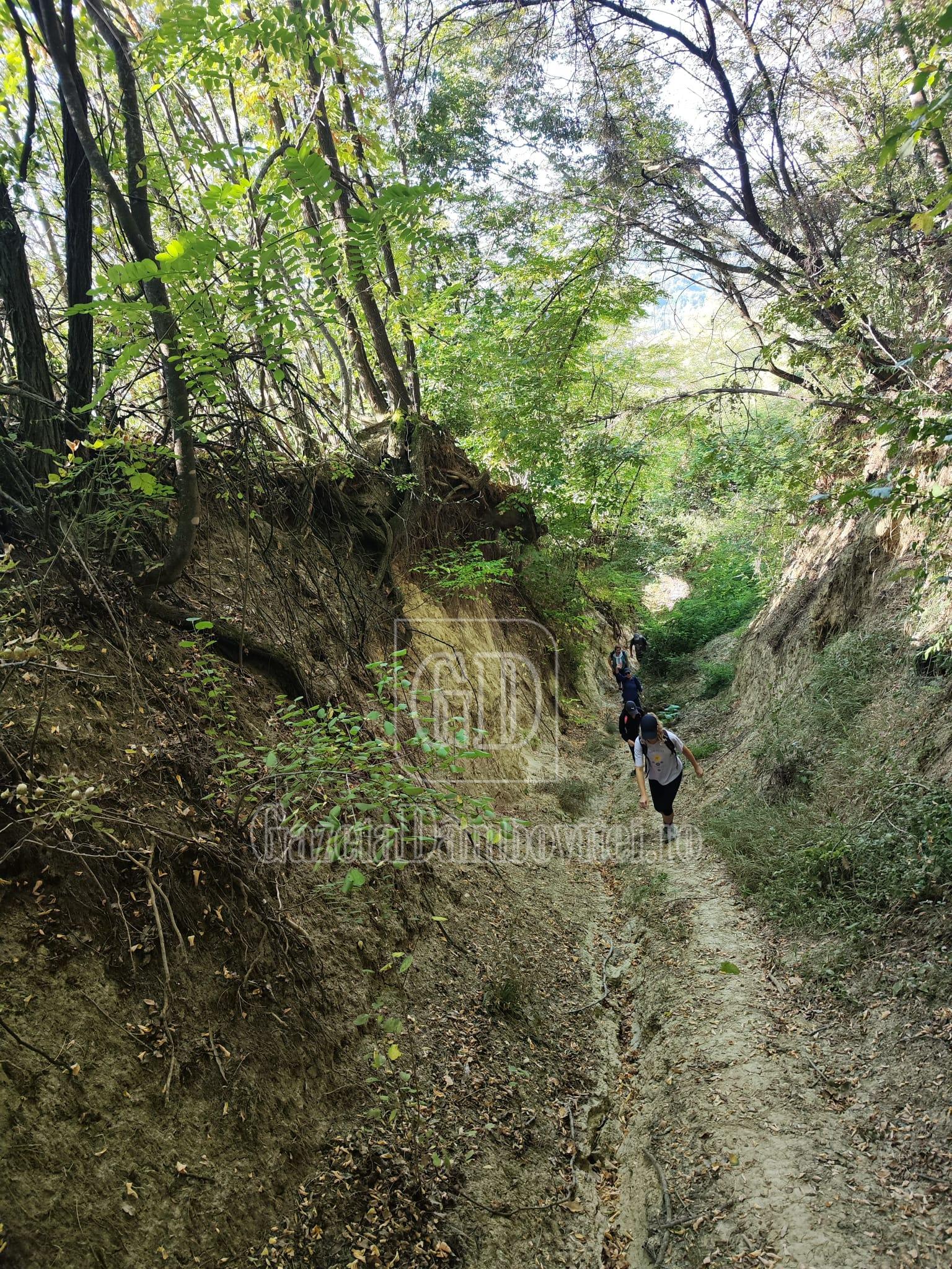 via wallachia (2)