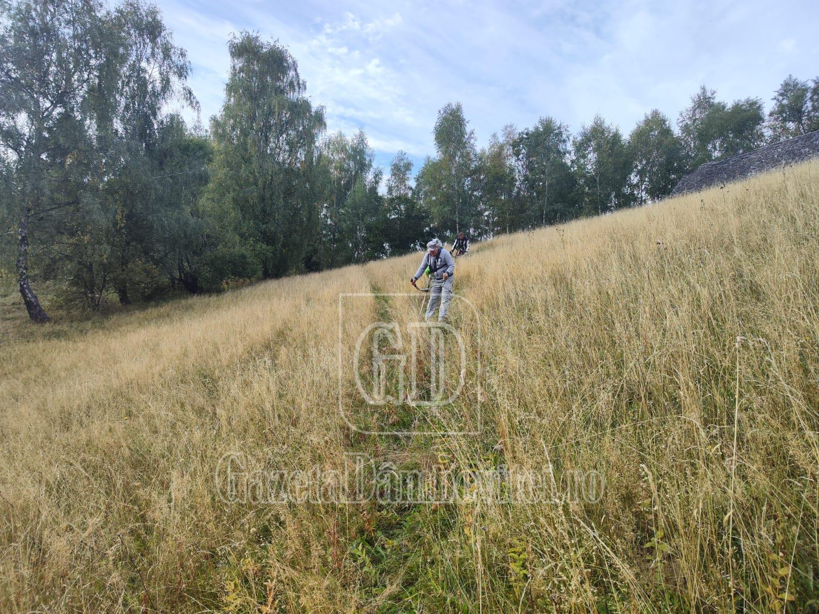 via wallachia (4)