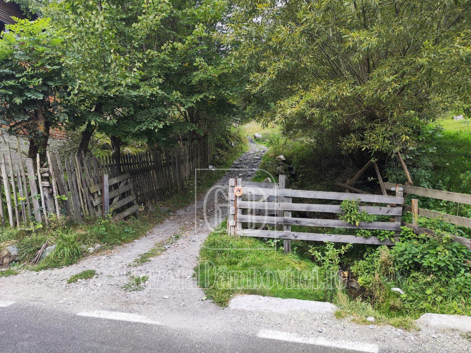 via wallachia (5)