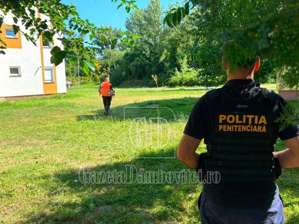 penitenciar gaesti