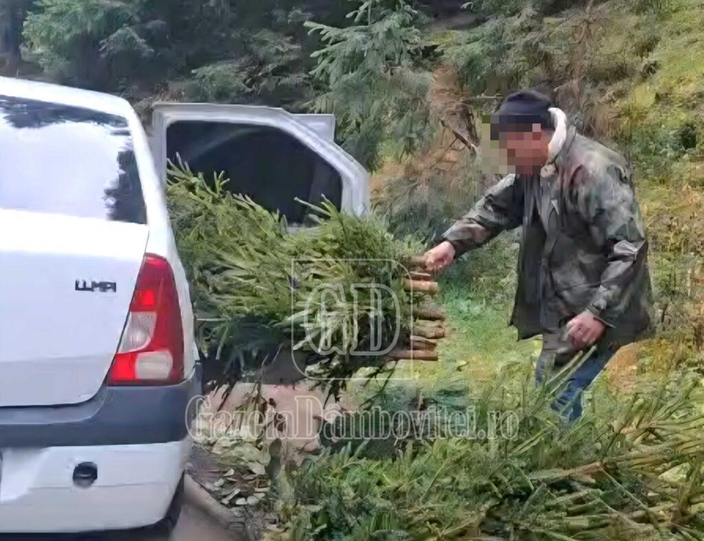 foto molizi zona dichiu