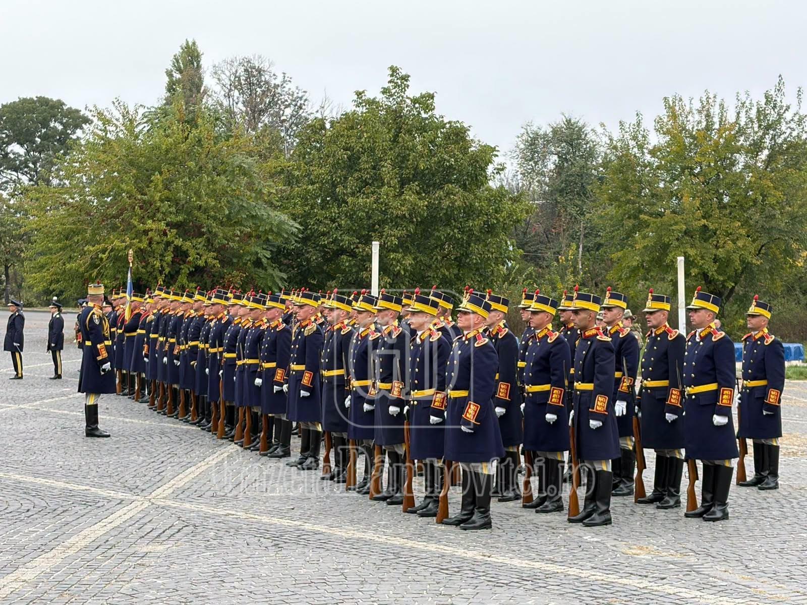 cotinescu (2)