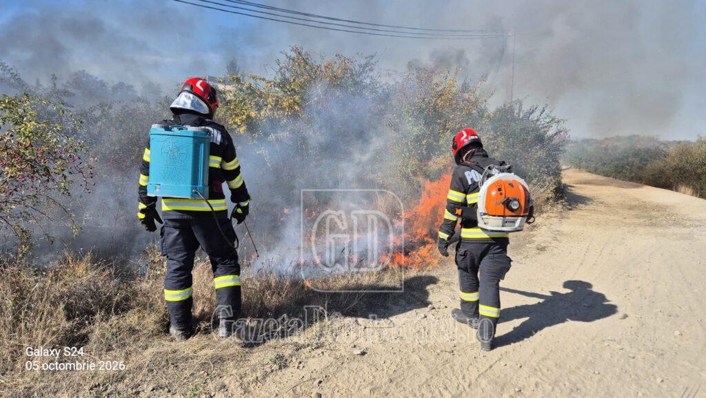 incendiu vegetatie 1