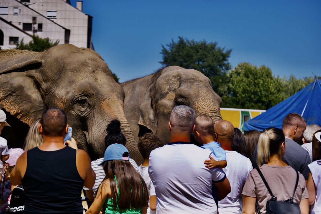 zoo park (32)