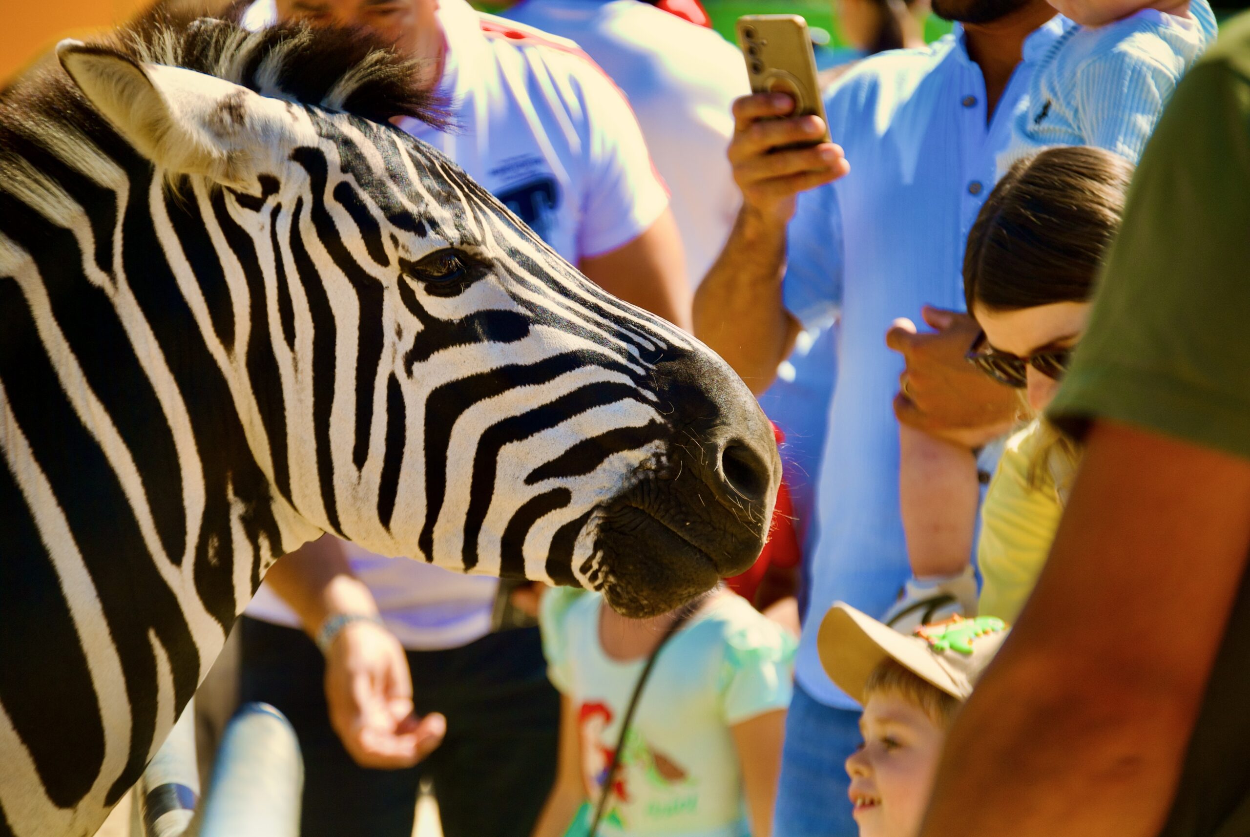 zoo park (33)