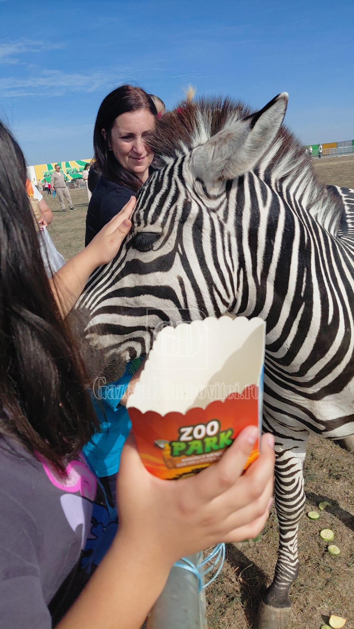 zoopark (3)