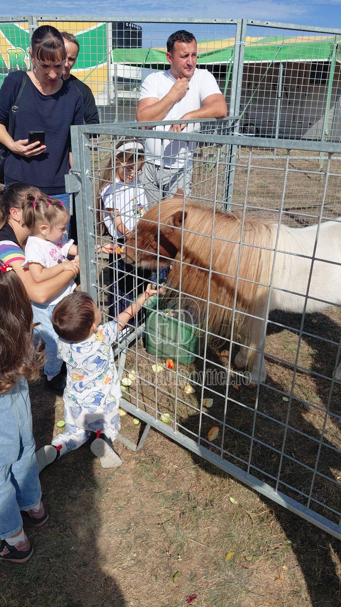zoopark (7)